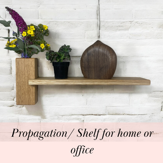 Propagation Station/Floating Shelf